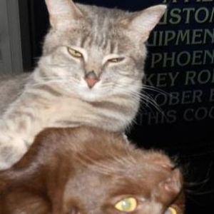 Meet your Posher, Coco